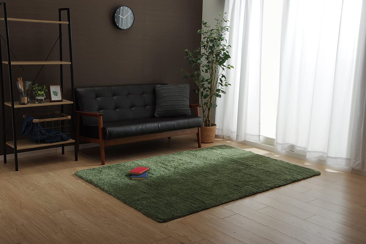 Amazon.co.jp: イケヒコ・コーポレーション ラグカーペット 長方形